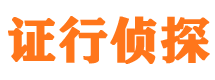 坡头市私人侦探